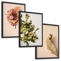 Zestaw obrazy w ramie, plakaty - liść, kwiat, suchy - rama czarna
