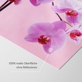 Fototapeta - orchidee, kwiaty, różowy