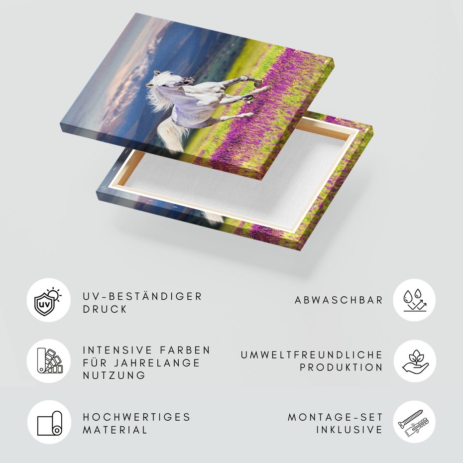 Obraz na płótnie - koń, natura, góry