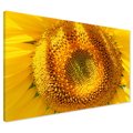 Obraz na płótnie - słonecznik, kwiat, żółty