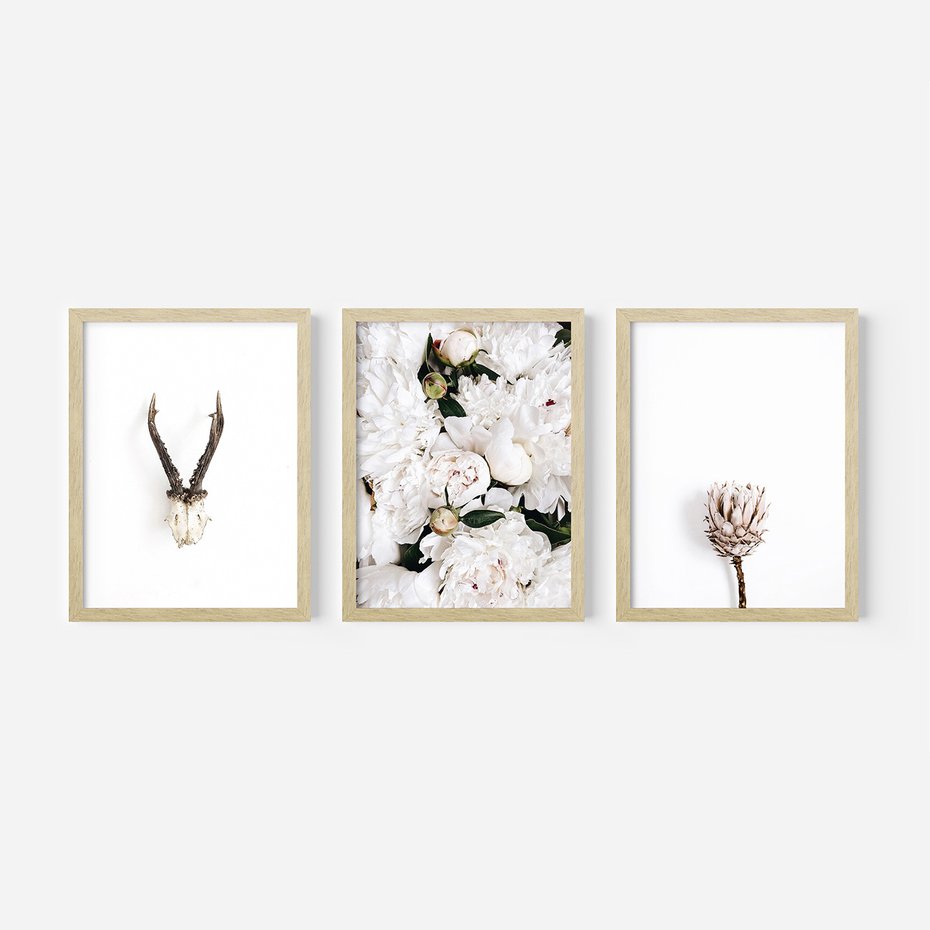 Zestaw obrazy w ramie, plakaty - kwiaty, minimalizm, roślina - rama drewno
