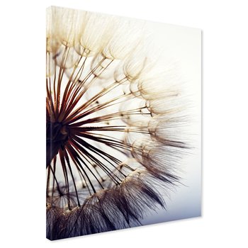 Obraz na płótnie - dmuchawiec, nasiona, natura