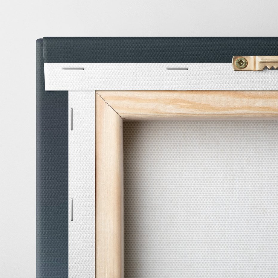 Obraz na płótnie - góry, śnieg, domki