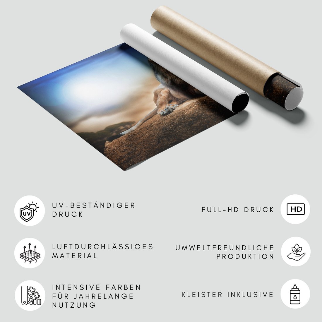 Fototapeta - lew, zwierzę, natura