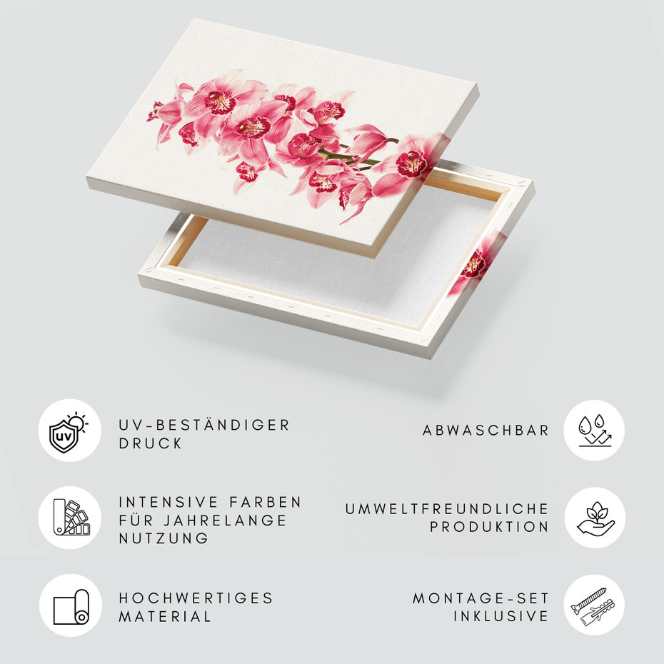 Obraz na płótnie - kwiaty, orchidee, różowe