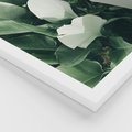 Zestaw obrazy w ramie, plakaty - liście, tropikalne, roślina - rama biała