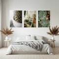 Zestaw obrazy w ramie, plakaty - kaktus, sukulenty, rośliny - rama biała