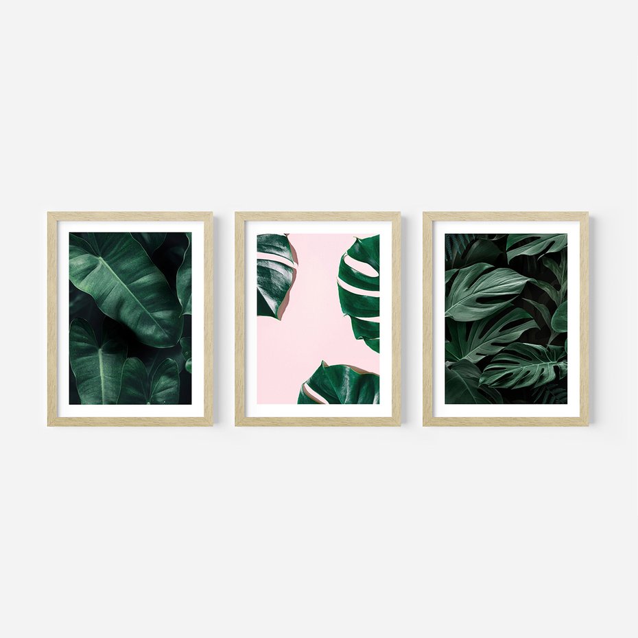 Zestaw obrazy w ramie, plakaty - liście, monstera, rośliny - rama drewno