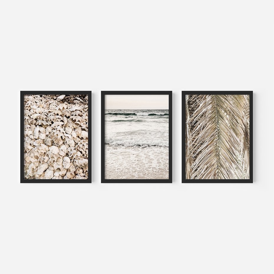 Zestaw obrazy w ramie, plakaty - muszle, morze, liście - rama czarna