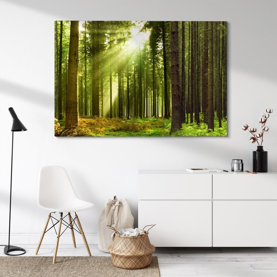Obraz na płótnie - las, drzewa, natura