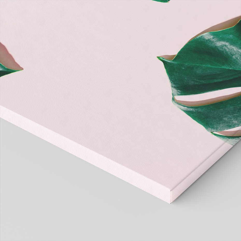 Obraz na płótnie - liście, monstera, roślina