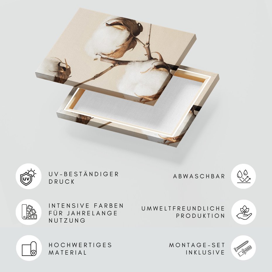 Obraz na płótnie - bawełna, roślina, natura