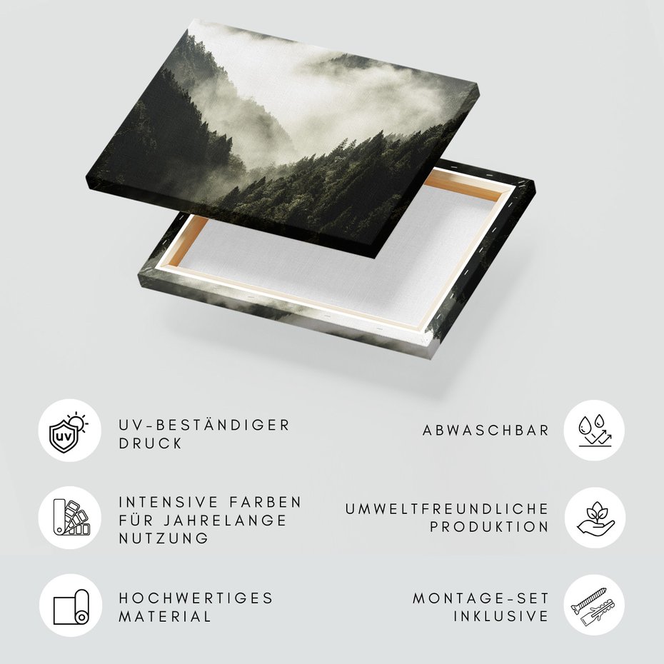 Obraz na płótnie - las, góry, mgła