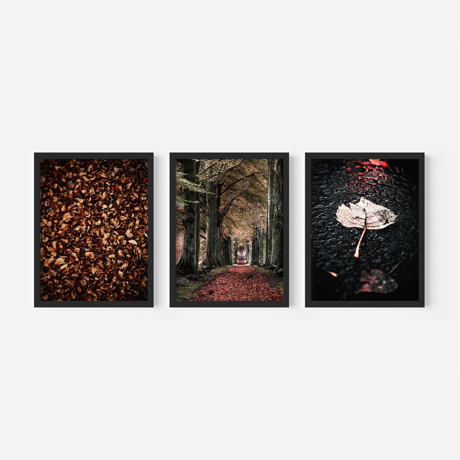 Zestaw obrazy w ramie, plakaty - liście, drzewa, jesień - rama czarna