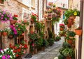 Fototapeta - uliczka, kwiaty, doniczki