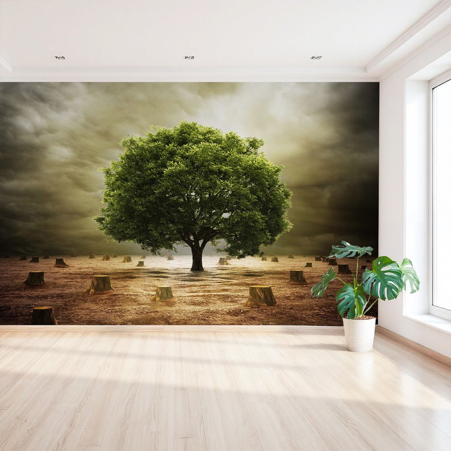 Fototapeta - drzewo, pniaki, natura