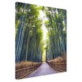 Obraz na płótnie - bambus, las, ścieżka