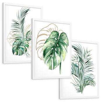 Zestaw obrazy w ramie, plakaty - liście, monstera, rośliny - rama biała