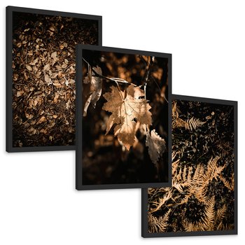 Zestaw obrazy w ramie, plakaty - liście, jesień, brązowy - rama czarna