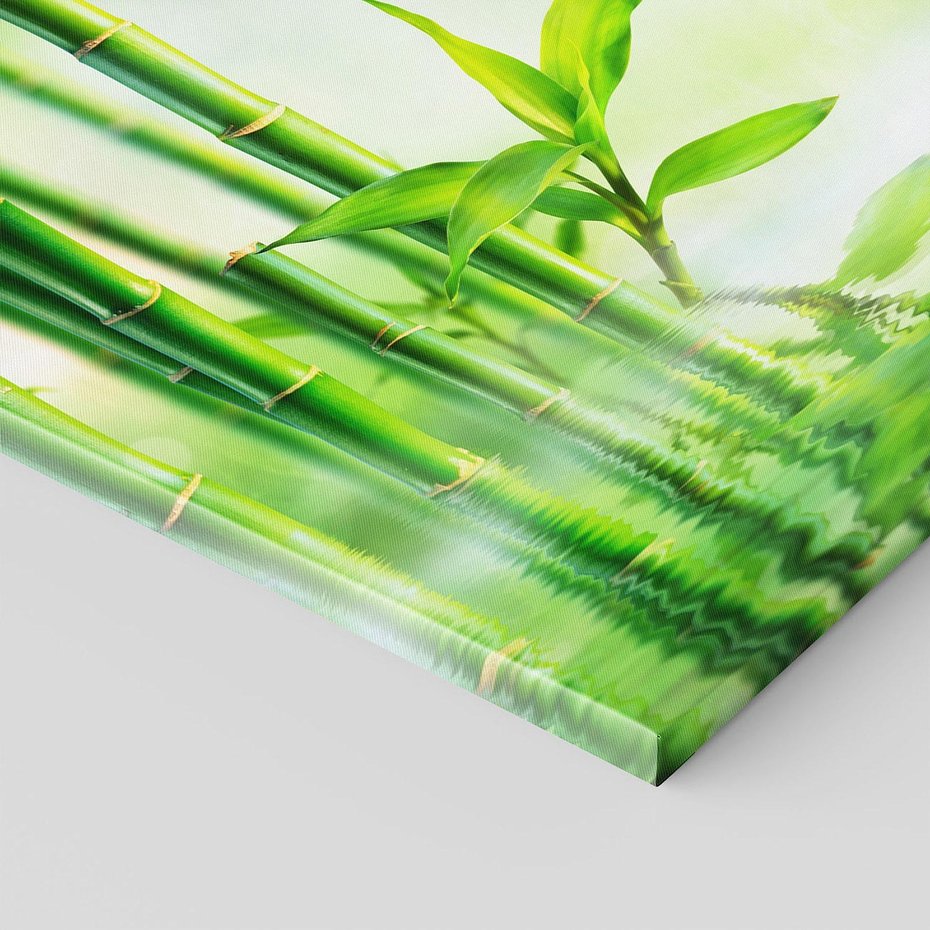 Obraz na płótnie - bambus, woda, liście
