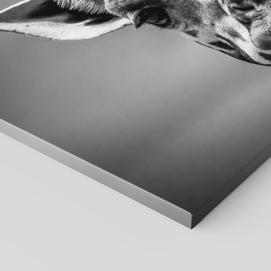 Obraz na płótnie - żyrafa, portret, Afryka