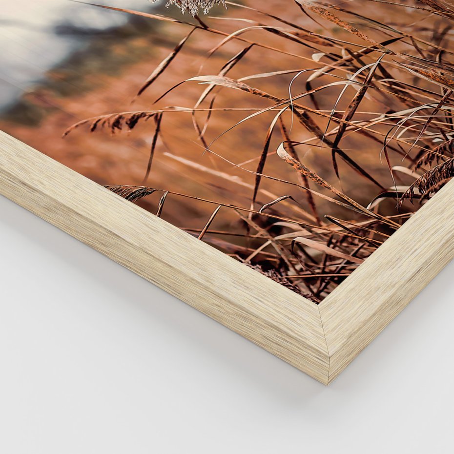 Zestaw obrazy w ramie, plakaty - krajobraz, wiatrak, natura - rama drewno