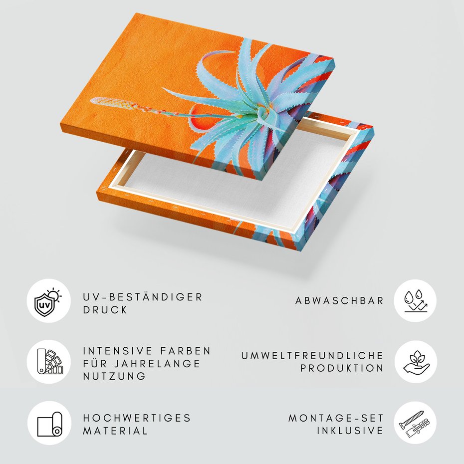 Obraz na płótnie - aloe, roślina, pomarańczowy