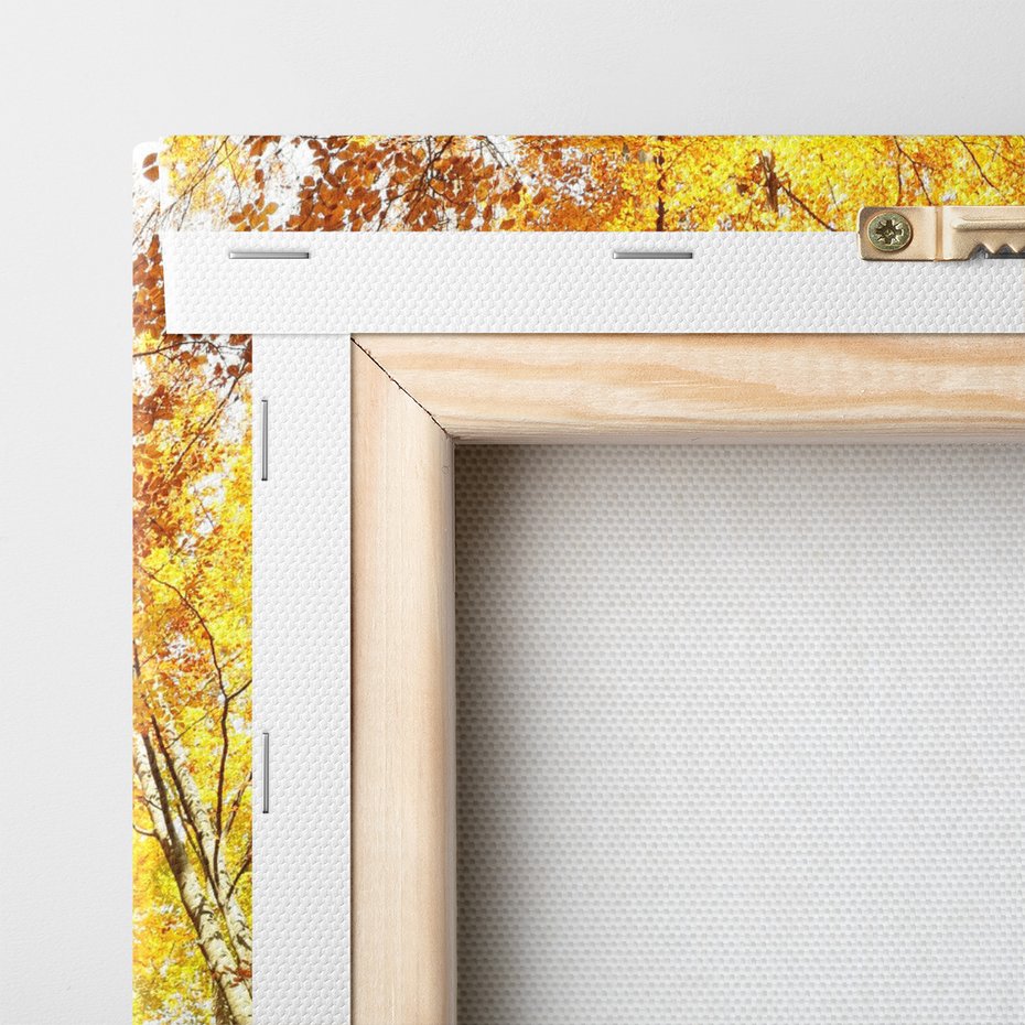 Obraz na płótnie - las, jesień, drzewa