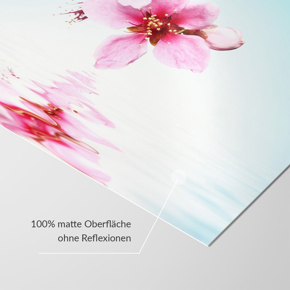 Fototapeta - kwiaty, woda, odbicie