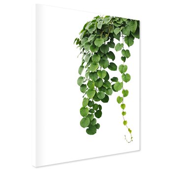 Obraz na płótnie - liście, zielony, roślina