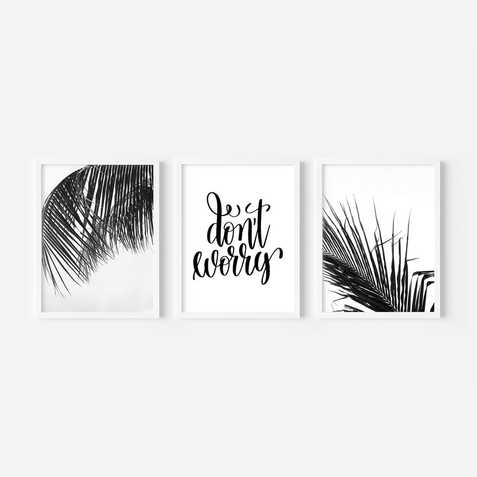 Zestaw obrazy w ramie, plakaty - liście,roślina,czarny - rama biała