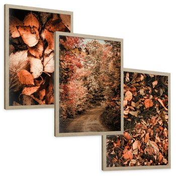 Zestaw obrazy w ramie, plakaty - liście,jesień,drzewa - rama drewno