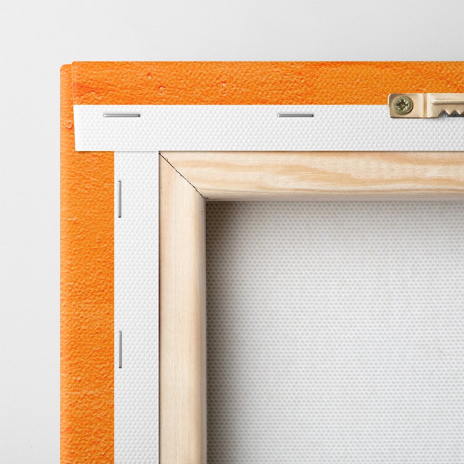 Obraz na płótnie - aloe, roślina, pomarańczowy