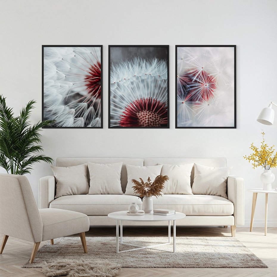 Zestaw obrazy w ramie, plakaty - dmuchawiec, natura, makro - rama czarna