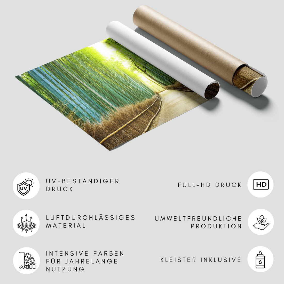 Fototapeta - bambus, las, ścieżka