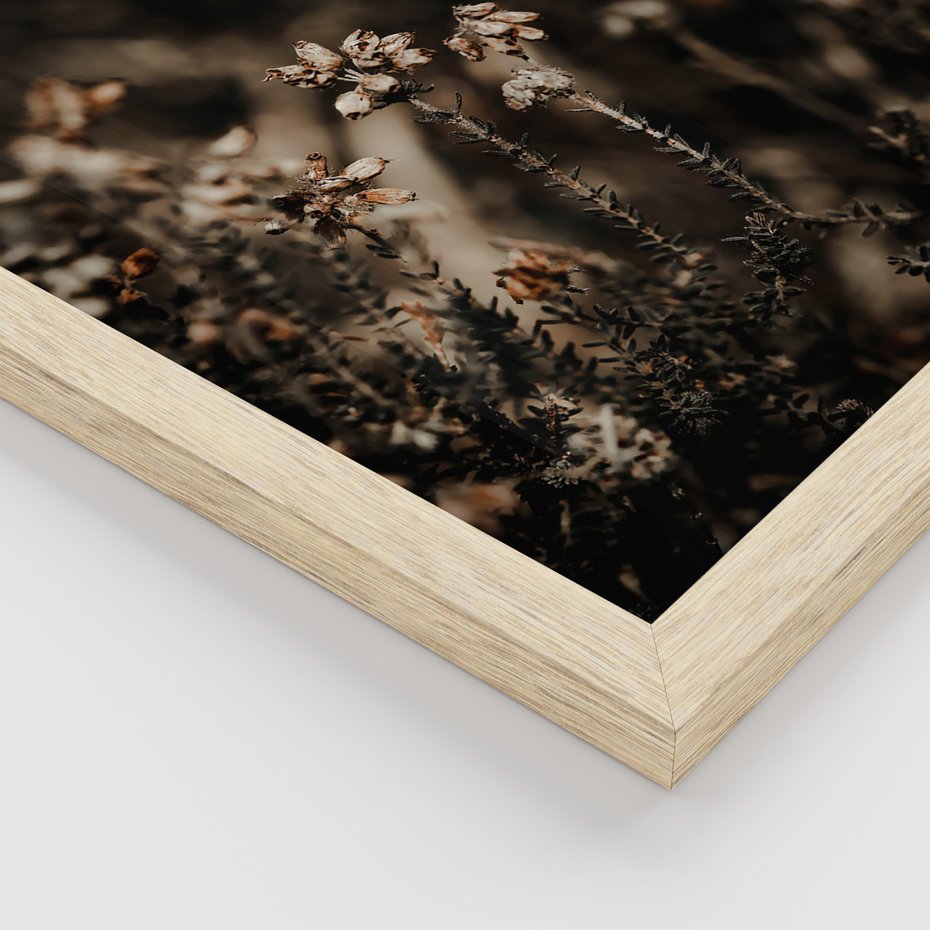 Zestaw obrazy w ramie, plakaty - przyroda, rośliny, natura - rama drewno