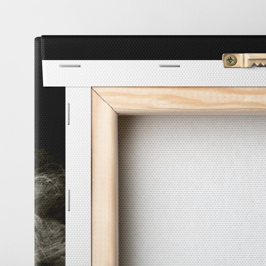 Obraz na płótnie - Lew, Portret, Drapieżnik