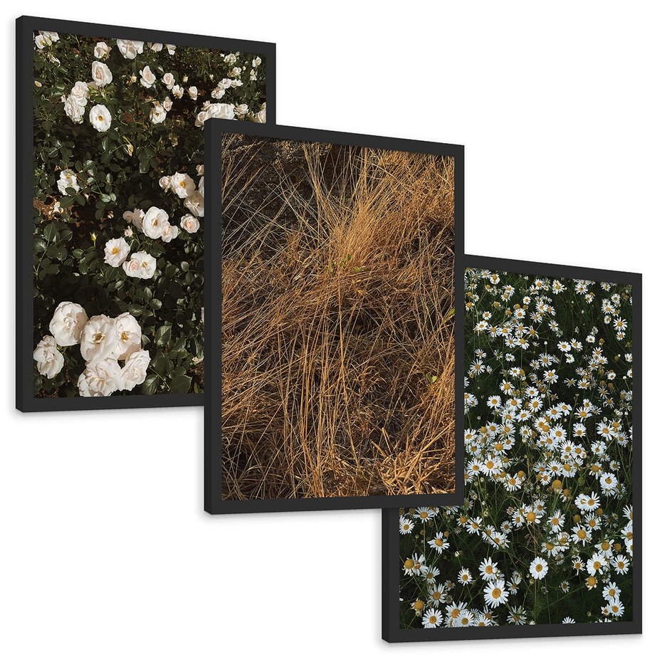 Zestaw obrazy w ramie, plakaty - kwiaty, rośliny, natura - rama czarna