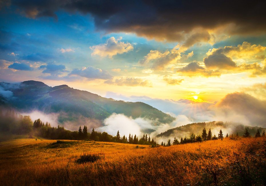 Fototapeta - góry, las, krajobraz