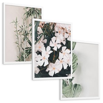 Zestaw obrazy w ramie, plakaty - rośliny, kwiaty, liście - rama biała