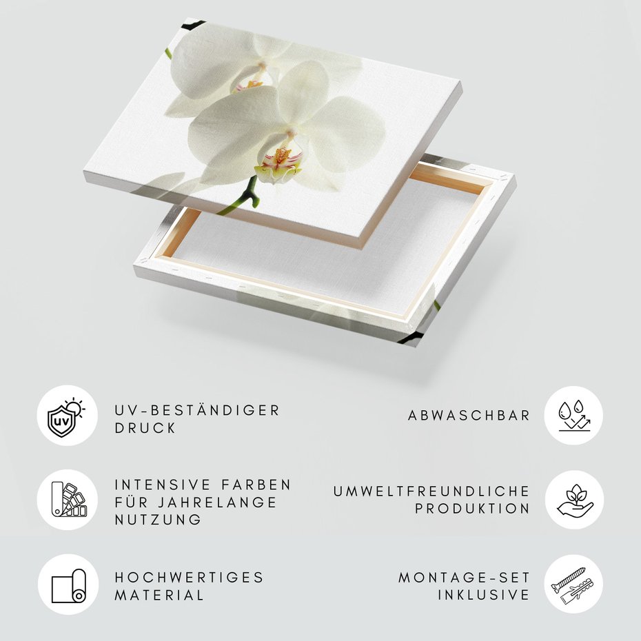 Obraz na płótnie - kwiaty, orchidee, białe,