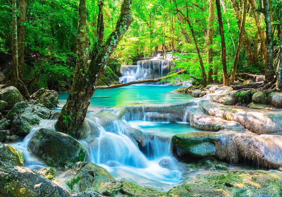 Fototapeta - wodospad, las, natura