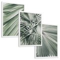 Zestaw obrazy w ramie, plakaty - liście palmowe, rośliny, natura - rama biała