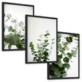 Zestaw obrazy w ramie, plakaty - eukaliptus, liście, roślina - rama czarna