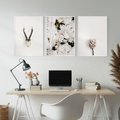 Zestaw obrazy w ramie, plakaty - kwiaty, minimalizm, roślina - rama biała