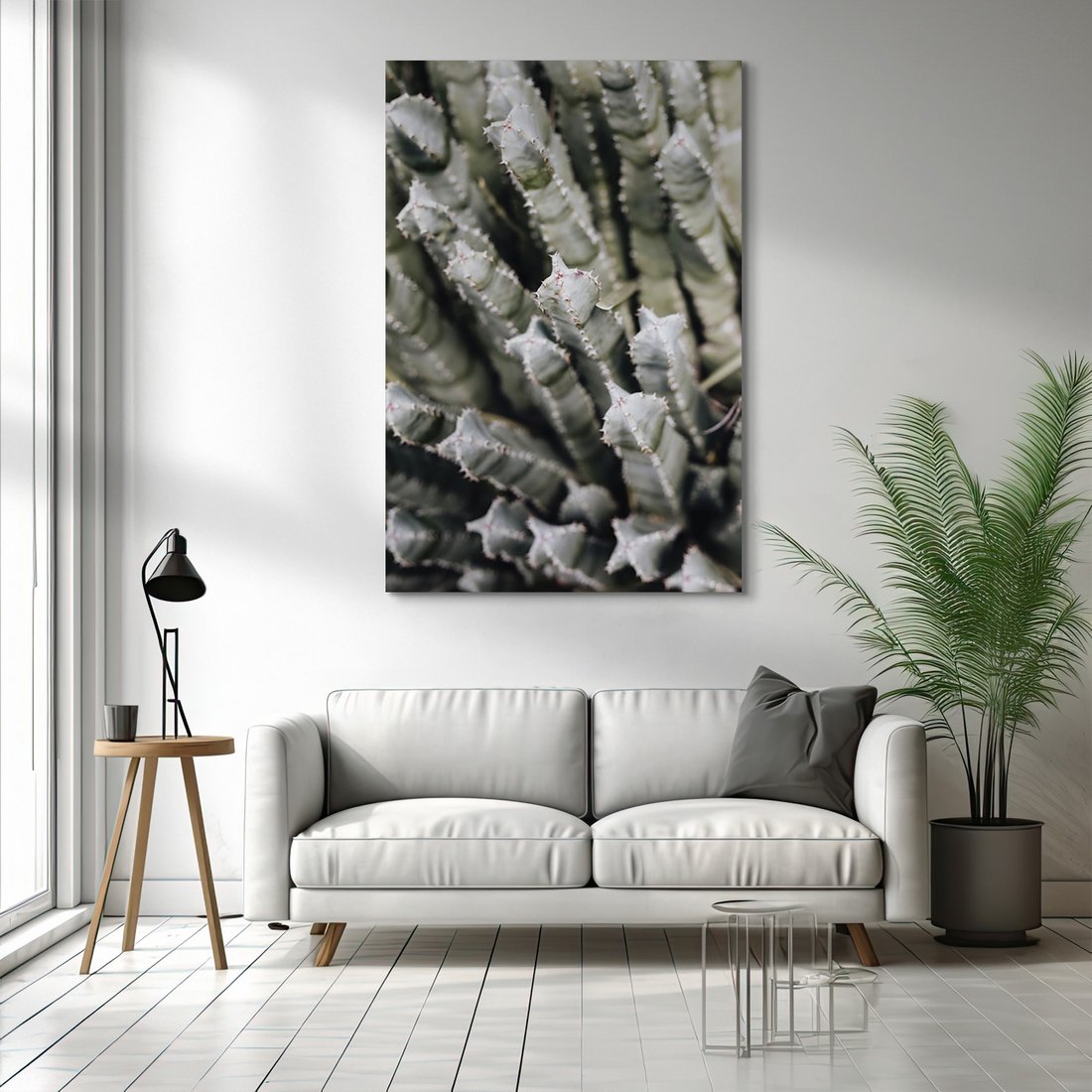 Obraz na płótnie - kaktus, sukulent, kolce