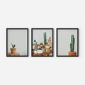 Zestaw obrazy w ramie, plakaty - kaktusy, sukulenty, rośliny - rama czarna