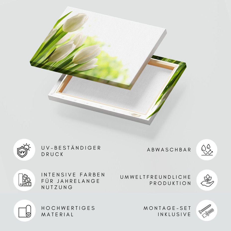 Obraz na płótnie - tulipany, kwiaty, wiosna