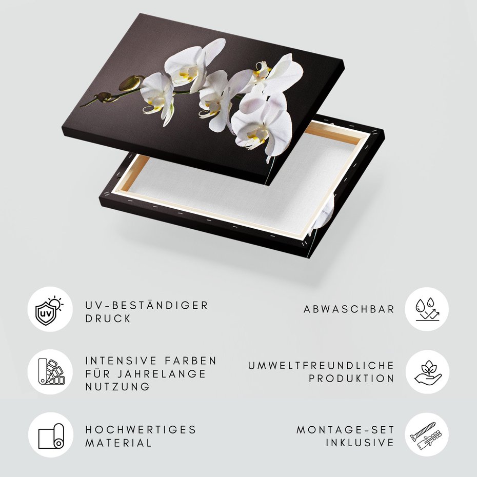 Obraz na płótnie - kwiat, orchidea, elegancja