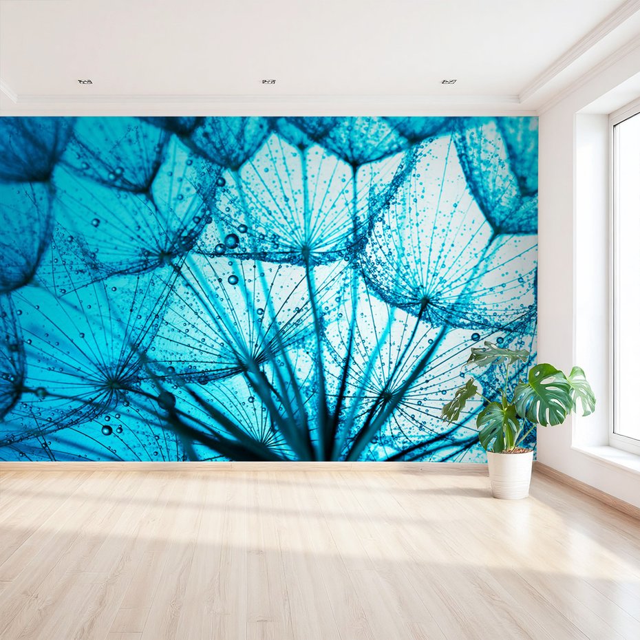 Fototapeta - dandelion, nasiona, krople